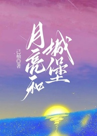 月亮和城堡txt